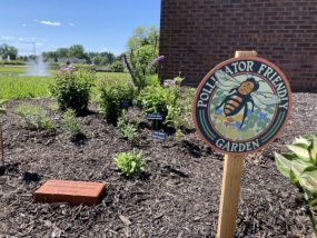 pollinator garden in front of the library