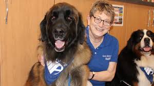 Volunteer with service dogs